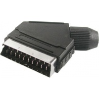 NP407 (SCART-21M)